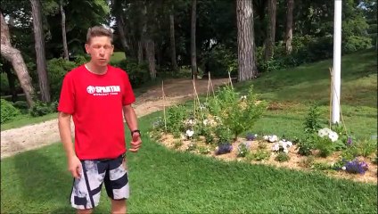 La spécialité du Spartan race  : les Burpees