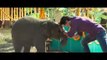 Junglee _ Official Teaser _ Vidyut Jammwal _ Chuck Russell _ In Cinemas 29th March, 2019