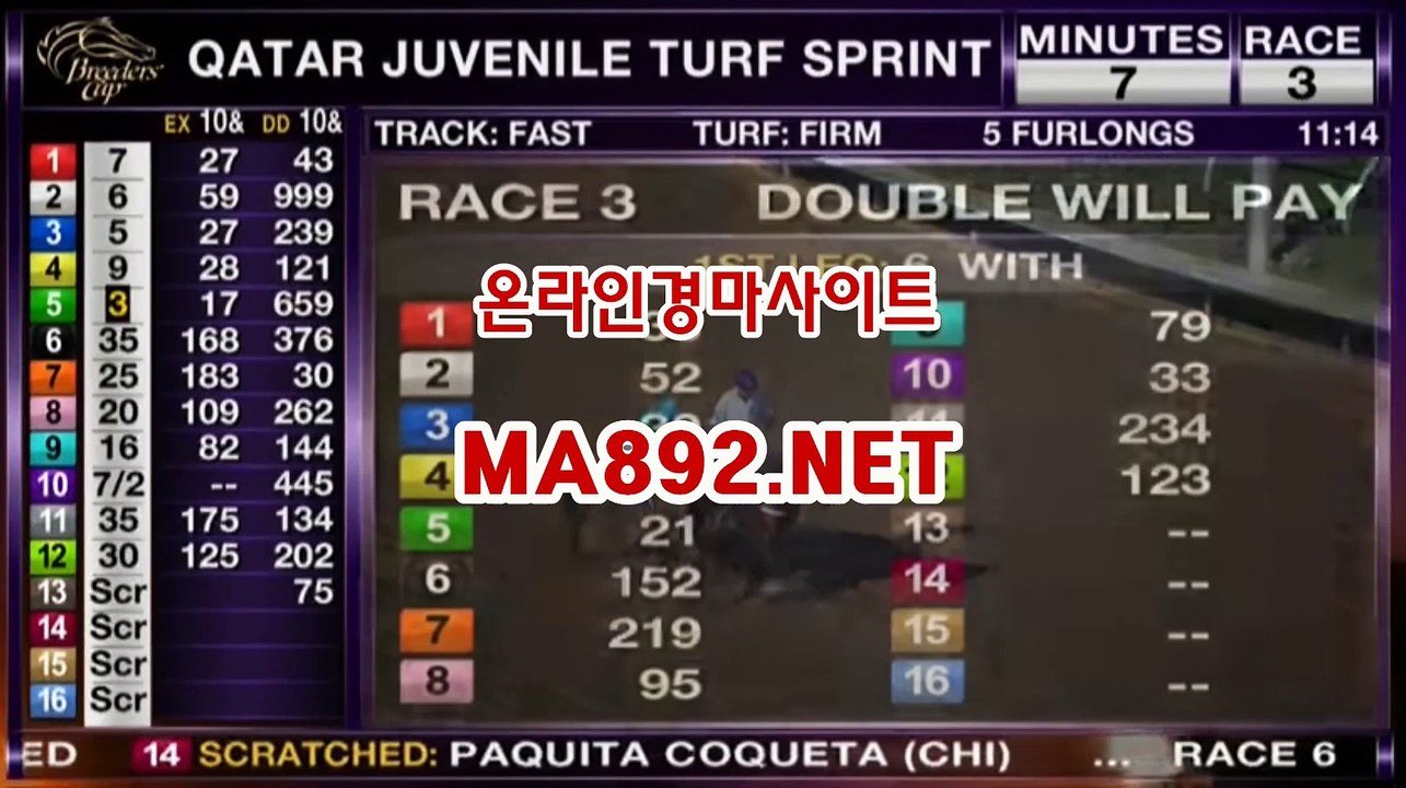 인터넷경마 M A 892 점 NET ,서울경마예상 ,경마예상사이트
