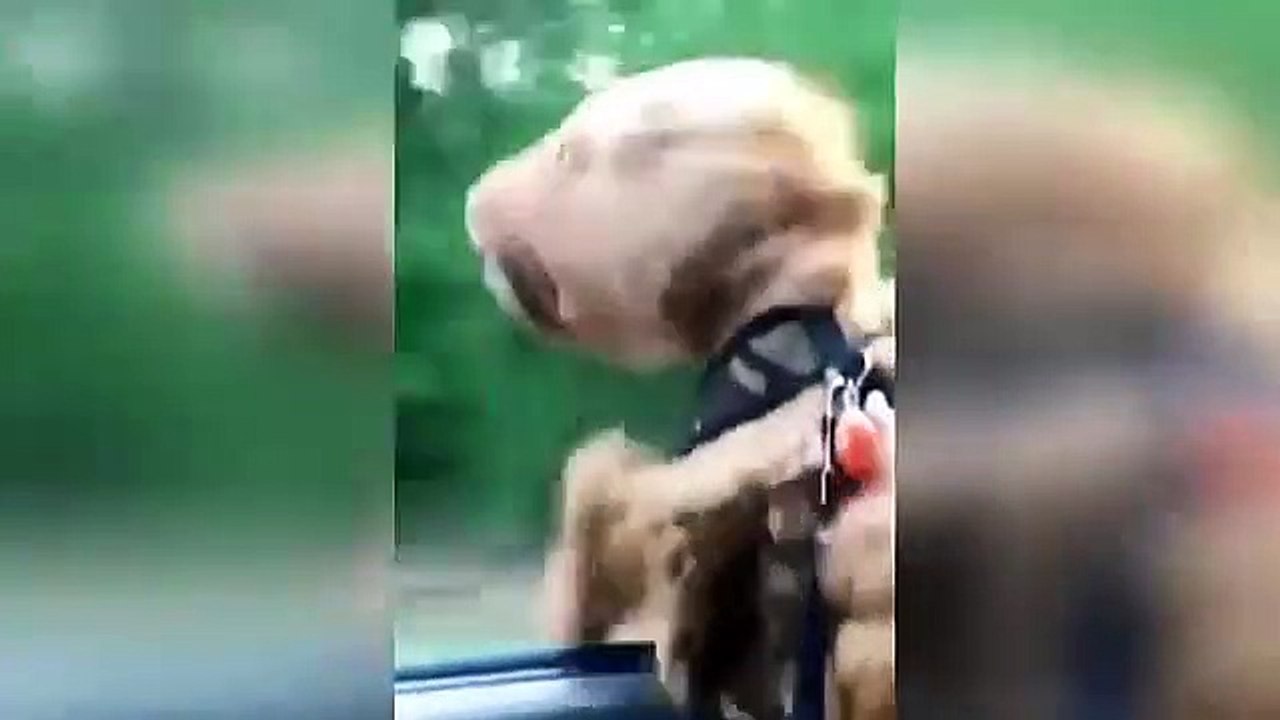 Car crashes  -271