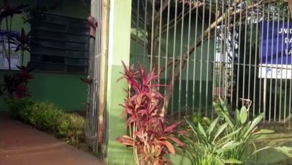 Área rural: Unidades de saúde ficam abertas até às 17h para vacinação contra Febre Amarela