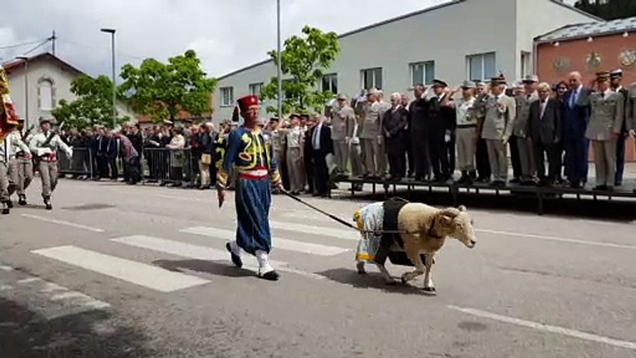 Epinal :  l'au-revoir du colonel Leprêtre au régiment de Tirailleurs