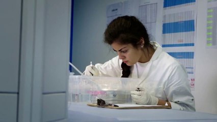 “Po ushqehemi me plastikë” - Top Channel Albania - News - Lajme