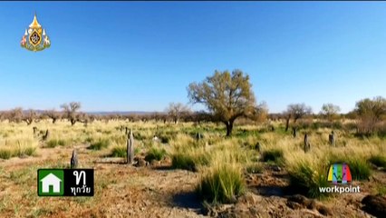 อภินิหาร กระบี่สามภพ ตอนที่ 3 วันที่ 15 มิถุนายน 2562