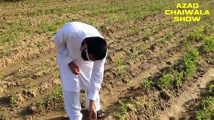 How to Double Your Crop Income in Pakistan & India _ Azad Chaiwala Show