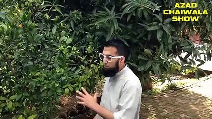 Sardi Mein Ugneh Wala Aam _ Sardi Wala Aam _ Azad Chaiwala Show