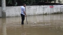 KOCAELİ Darıcada sağanak sele yol açtı; mahsur kalan kadın kurtarıldı-2