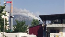 Hatay'daki Habib-i Neccar Dağı'nda orman yangını