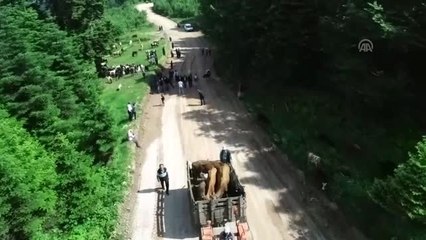 Göçerlerin yaylaya zorlu yolculuğu