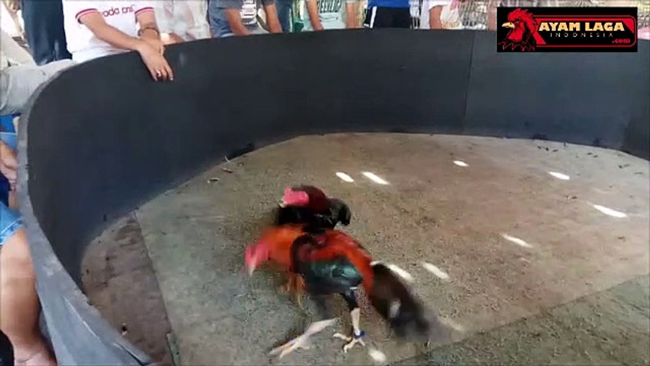 SI NINJA HITAM