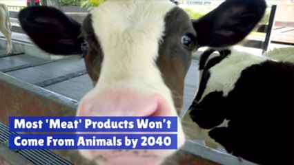 Report Says Meat Products Are Not The Future
