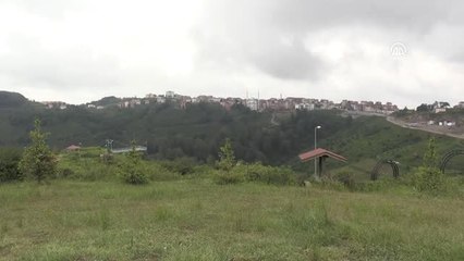 "Dolu fındık rekoltesini ciddi şekilde etkileyecek"