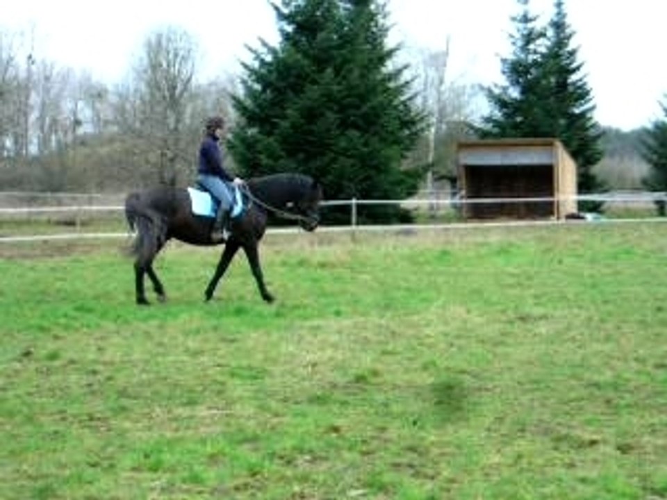 Quiator10