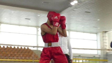 Mbahet turneu individual i Boksit-Lajme