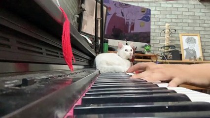 Man Serenades Cat with Sweet Song on Piano