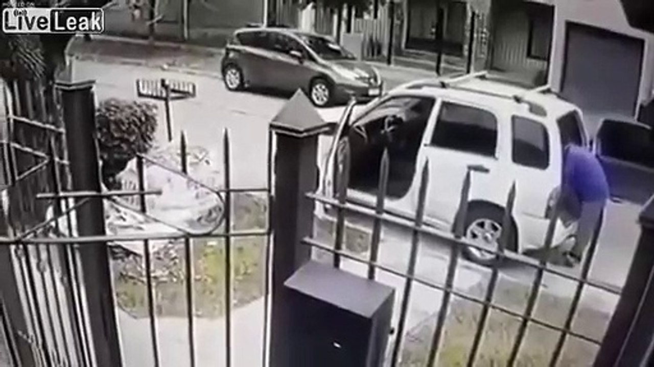 Cães evitam que o dono seja assaltado!