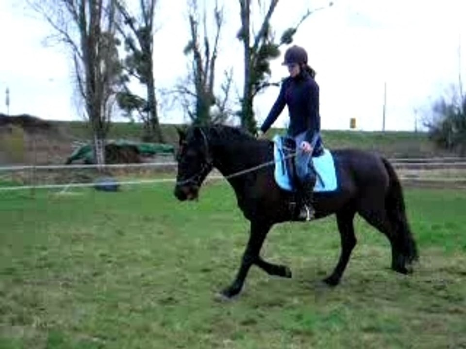 Quiator12