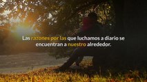 15 Ejemplos De Frases De Sentido De La Vida