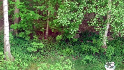 June 1 2019 DL2