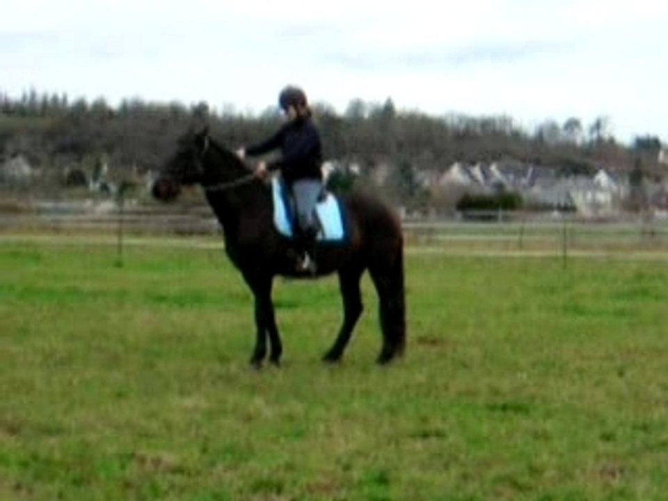 Quiator11