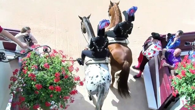 Les arènes et les rues d'Istres ont attiré du monde pour la feria 2019.