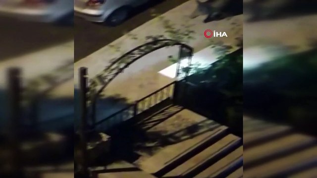 Domuz sürüsü şehre indi, korkan çocuklar araçların üzerine çıktı