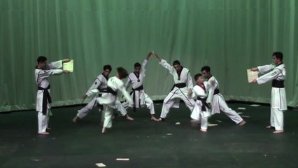 태권도, 문화 예술이 되다...LA 엑스플로어 태권도 시범공연단 / YTN