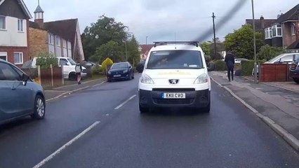 White Van Banana Monkey Man