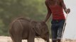 Ce photographe dénonce les pratiques d'un parc animalier en Inde, utilisant les éléphants comme attractions touristiques !