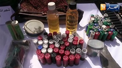 الطارف: توقيف 7 أشخاص وحجز 120 شجيرة من القنب الهندي بدوار الجنين