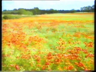 سلطنة عمان اغنية فصول تلفزيون فضائيه