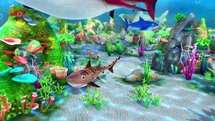 Animals That Camouflage  |  Junior | Kids Songs | LBB Junior | Songs for Kids