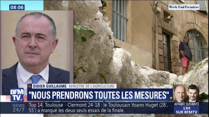 Orages: "L'État déclarera l'état de catastrophe naturelle" annonce le ministre de l'Agriculture