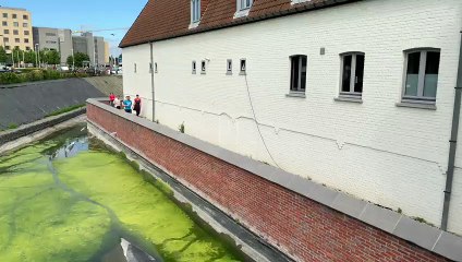 Hurluban Trail Mouscron 16 juin 2019