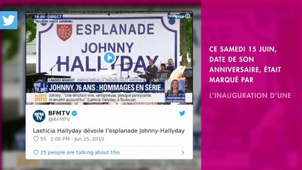 Johnny Hallyday : Après Toulouse, une autre ville pourrait renommer une place en son nom