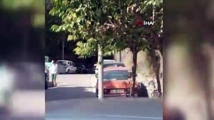 Beşiktaş Ortaköy’de arı istilası