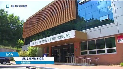 [바다UP, 스타트업]굴 껍데기의 대변신…영양제 원료로 재탄생