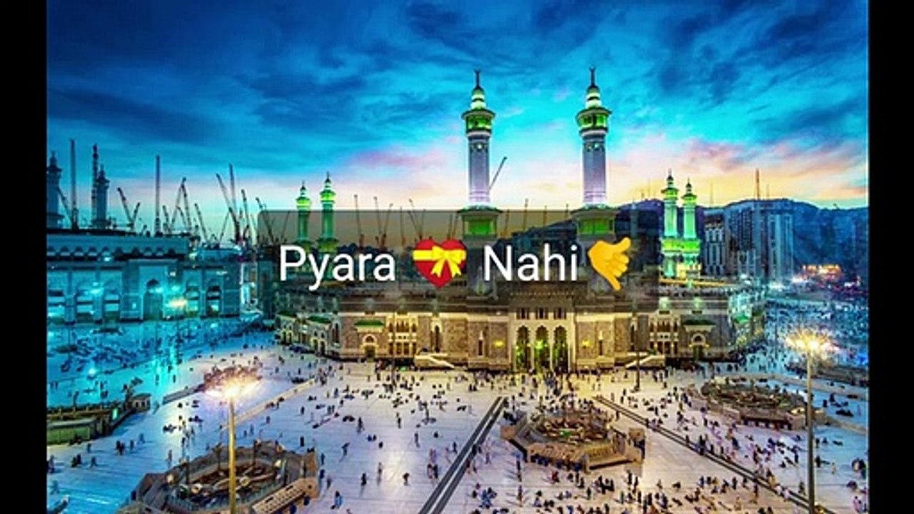 Kamli Waly Muhammad | Status