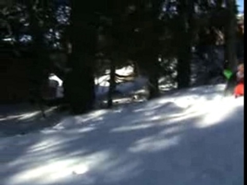 The pigeons - les cascades