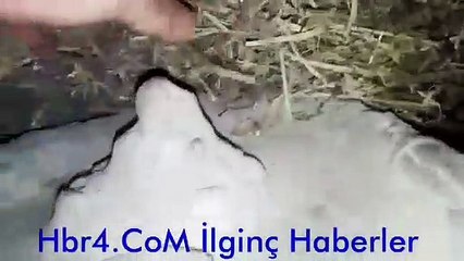 Türkiye'de bulunan lahit mezar