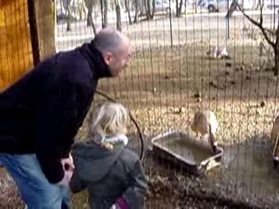 Le village des Automates