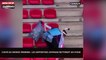 Coupe du monde féminine : Les supporters japonais nettoient le stade de Rennes (Vidéo)