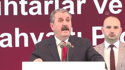 Destici: "Türkiye'yi hafife alanlar, geçmişte olduğu gibi bugün de bunun bedelini ödeyeceklerdir"