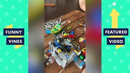 TRY NOT TO LAUGH - Funny Pets That Will Brighten Your Day!