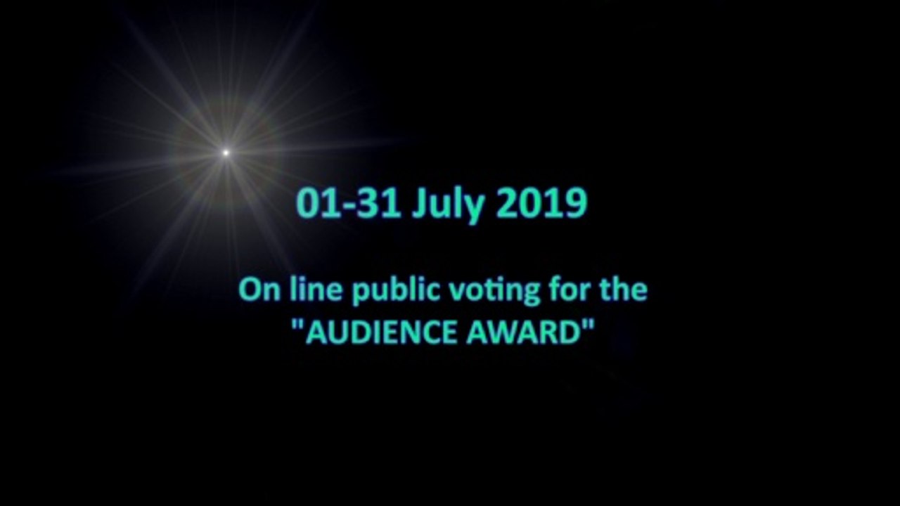 2019 bbisff online public voting