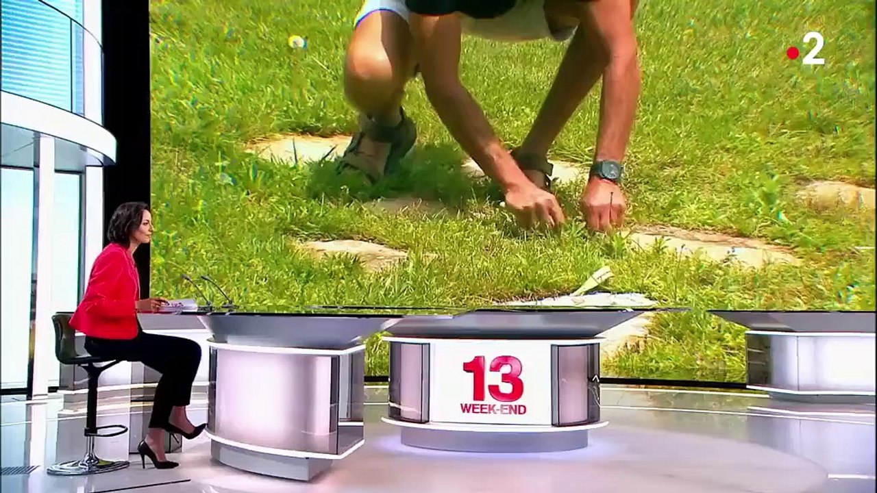 Tendance : cultiver son jardin 100% naturel