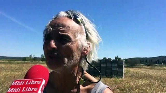 Fournès : des abeilles ou Amazon à la zone de la Pale