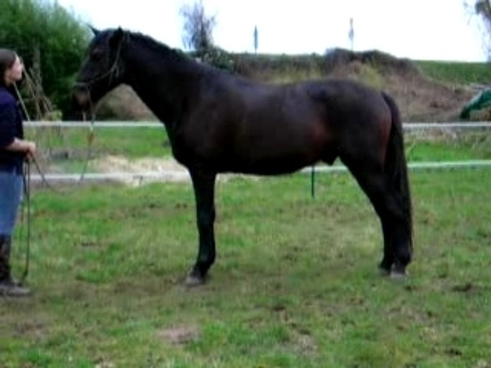 Quiator27
