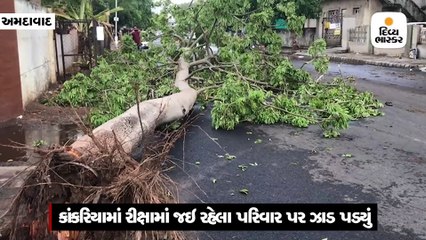 કાંકરિયામાં રીક્ષામાં જઇ રહેલા પરિવાર પર ઝાડ પડ્યું, રખિયાલની યુવતીનું મોત