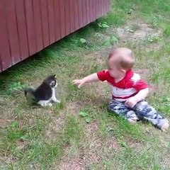 Babies Love Kitties! Baby moments are lovely and funny